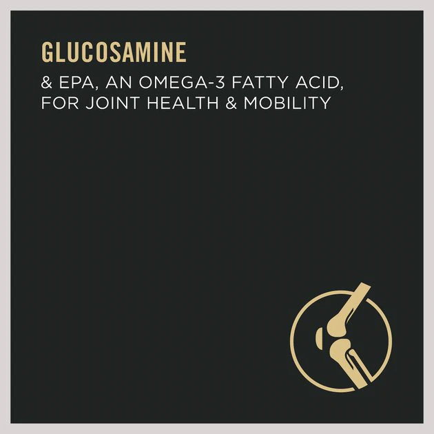 Purina Pro Plan 7+ Complete Essentials Shredded Blend Beef & Rice Formula High Protein Dog Food 4 Purina Pro Plan 7+ Complete Essentials Shredded Blend Beef & Rice Formula High Protein Dog Food - Image 4