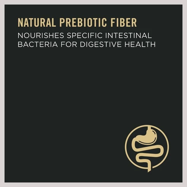 Purina Pro Plan 7+ Complete Essentials Shredded Blend Beef & Rice Formula High Protein Dog Food 5 Purina Pro Plan 7+ Complete Essentials Shredded Blend Beef & Rice Formula High Protein Dog Food - Image 5