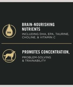 Purina Pro Plan Large Breed Sport Development 30/18 High Protein Puppy Food -Elanco Sales 352982 PT3. SY630 V1649226390