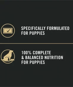Purina Pro Plan Sport Development Puppy High Protein Beef & Rice Wet Dog Food, 13-oz can, case of 12 -Elanco Sales 352991 PT7. SY630 V1638480406