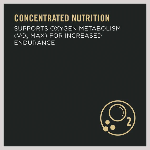 Purina Pro Plan SPORT 7+ Performance 30/17 Chicken & Rice Forumula Dry Dog Food 4 Purina Pro Plan SPORT 7+ Performance 30/17 Chicken & Rice Forumula Dry Dog Food - Image 4