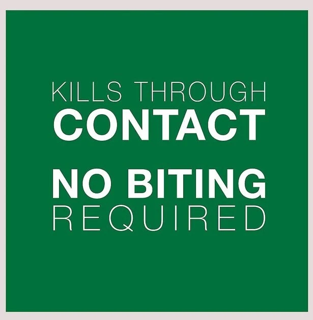 Advantage II Flea Spot Treatment for Cats, 5-9 lbs, & Ferrets + Household Spot & Crevice Spray 5 Advantage II Flea Spot Treatment for Cats, 5-9 lbs, & Ferrets + Household Spot & Crevice Spray - Image 5