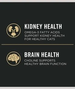 Purina Pro Plan Vital Systems 4-in-1 Salmon Pate Wet Cat Food, 3-oz can, case of 24 12 Purina Pro Plan Vital Systems 4-in-1 Salmon Pate Wet Cat Food, 3-oz can, case of 24 -Elanco Sales 542038 PT5. SY630 V1652975784