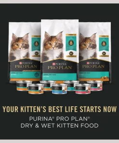 Purina Pro Plan Complete & Balanced Kitten Starter Pack Cat Food, 2.12-lb box -Elanco Sales 542054 PT7. SY630 V1652975488