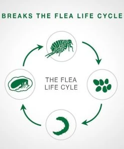 Advantage II||Advantage||Advantage Flea & Tick - Advantage II Flea Spot Treatment for Cats, over 9 lbs, 6 Doses (6-mos. supply) + 2 other items 12 Advantage II||Advantage||Advantage Flea & Tick - Advantage II Flea Spot Treatment for Cats, over 9 lbs, 6 Doses (6-mos. supply) + 2 other items -Elanco Sales 546942 PT3. SY630 V1657659306