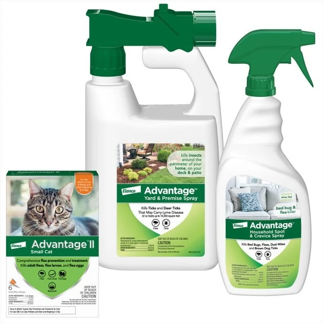 Advantage II||Advantage||Advantage Flea & Tick - Advantage II Flea Spot Treatment for Cats, 5-9 lbs, & Ferrets, 6 Doses (6-mos. supply) + 2 other items 1 Advantage II||Advantage||Advantage Flea & Tick - Advantage II Flea Spot Treatment for Cats, 5-9 lbs, & Ferrets, 6 Doses (6-mos. supply) + 2 other items