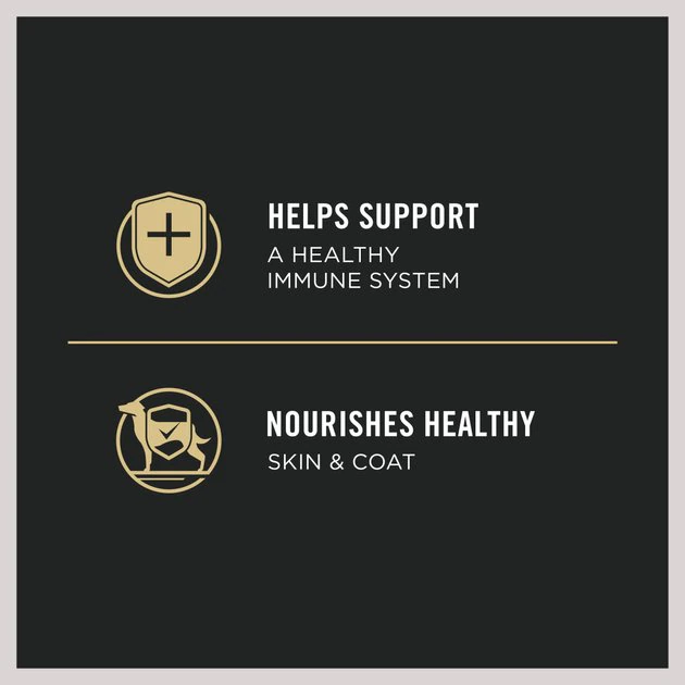 Purina Pro Plan Development Puppy Chicken & Brown Rice Entree Canned Dog Food 6 Purina Pro Plan Development Puppy Chicken & Brown Rice Entree Canned Dog Food - Image 6