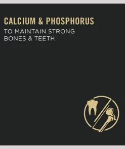 Purina Pro Plan Specialized Adult Large Breed Beef & Rice Entree Canned Dog Food 10 Purina Pro Plan Specialized Adult Large Breed Beef & Rice Entree Canned Dog Food -Elanco Sales 67448 PT2. SY630 V1633066328