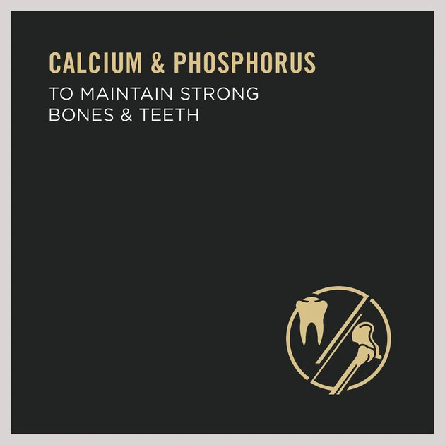 Purina Pro Plan Specialized Adult Large Breed Beef & Rice Entree Canned Dog Food 3 Purina Pro Plan Specialized Adult Large Breed Beef & Rice Entree Canned Dog Food - Image 3