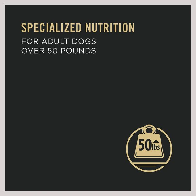 Purina Pro Plan Specialized Adult Large Breed Beef & Rice Entree Canned Dog Food 4 Purina Pro Plan Specialized Adult Large Breed Beef & Rice Entree Canned Dog Food - Image 4