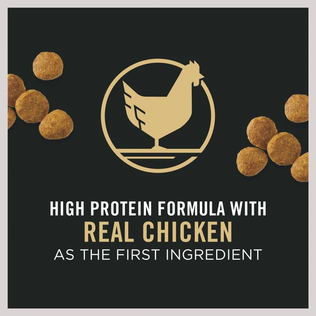 Purina Pro Plan High Protein Chicken & Rice Formula Dry Puppy Food 3 Purina Pro Plan High Protein Chicken & Rice Formula Dry Puppy Food - Image 3