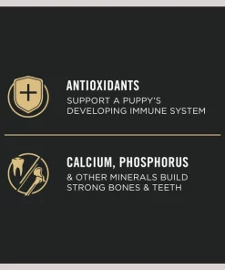 Purina Pro Plan High Protein Chicken & Rice Formula Dry Puppy Food 13 Purina Pro Plan High Protein Chicken & Rice Formula Dry Puppy Food -Elanco Sales 67479 PT4. SY630 V1657911525