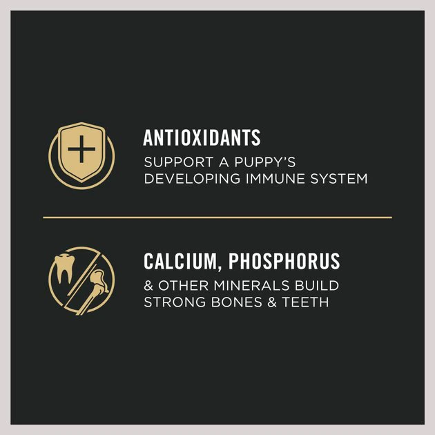 Purina Pro Plan High Protein Chicken & Rice Formula Dry Puppy Food 5 Purina Pro Plan High Protein Chicken & Rice Formula Dry Puppy Food - Image 5