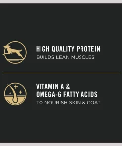 Purina Pro Plan High Protein Chicken & Rice Formula Dry Puppy Food 15 Purina Pro Plan High Protein Chicken & Rice Formula Dry Puppy Food -Elanco Sales 67479 PT6. SY630 V1657911528