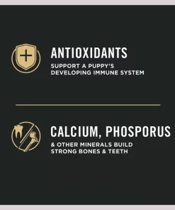 Purina Pro Plan High Protein DHA Lamb & Rice Formula Puppy Food -Elanco Sales 67483 PT4. SY630 V1649225482