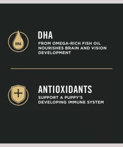 Purina Pro Plan Puppy Small Breed Chicken & Rice Formula Dry Dog Food 12 Purina Pro Plan Puppy Small Breed Chicken & Rice Formula Dry Dog Food -Elanco Sales 67490 PT3. SY630 V1649226408