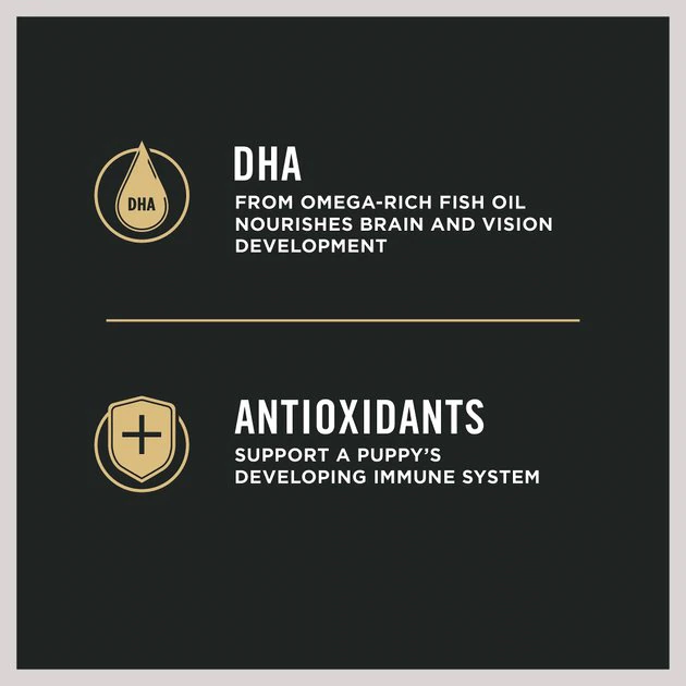 Purina Pro Plan Puppy Toy Breed Chicken & Rice Formula Dry Dog Food 5 Purina Pro Plan Puppy Toy Breed Chicken & Rice Formula Dry Dog Food - Image 5