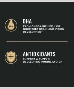 Purina Pro Plan Puppy Shredded Blend Chicken & Rice Formula with Probiotics Dry Dog Food 12 Purina Pro Plan Puppy Shredded Blend Chicken & Rice Formula with Probiotics Dry Dog Food -Elanco Sales 67529 PT3. SY630 V1649229685