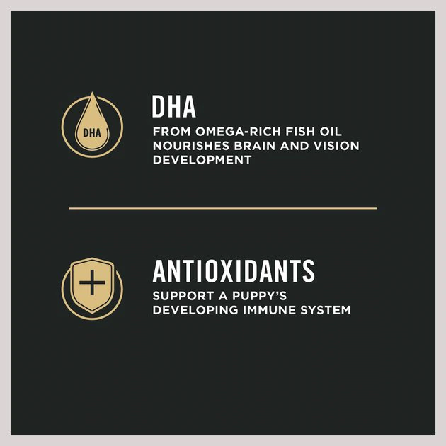 Purina Pro Plan Puppy Shredded Blend Chicken & Rice Formula with Probiotics Dry Dog Food 4 Purina Pro Plan Puppy Shredded Blend Chicken & Rice Formula with Probiotics Dry Dog Food - Image 4