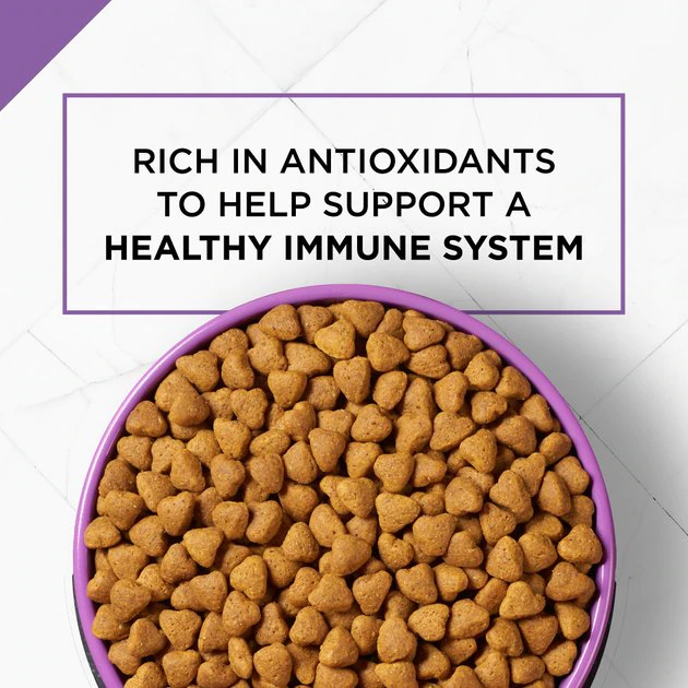Purina Pro Plan Sport All Life Stages Active 26/16 Formula Dry Dog Food 3 Purina Pro Plan Sport All Life Stages Active 26/16 Formula Dry Dog Food - Image 3