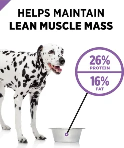 Purina Pro Plan Sport All Life Stages Active 26/16 Formula Dry Dog Food 11 Purina Pro Plan Sport All Life Stages Active 26/16 Formula Dry Dog Food -Elanco Sales 67681 PT4. SY630 V1597889180