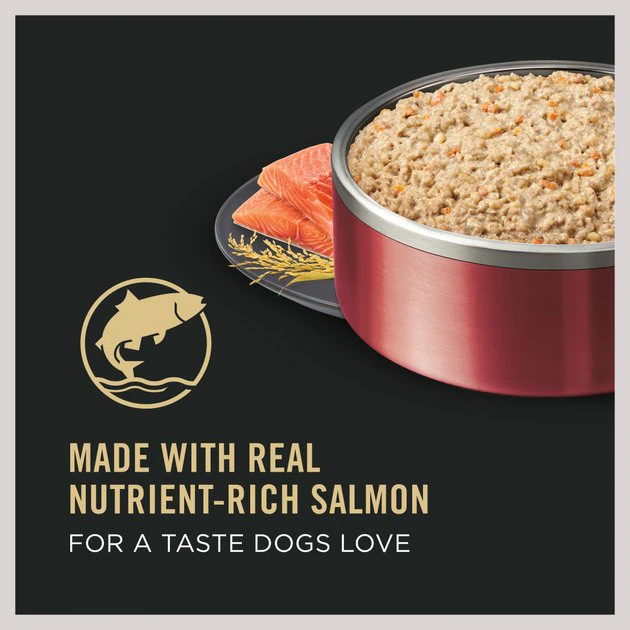 Purina Pro Plan Focus Adult Classic Sensitive Skin & Stomach Salmon & Rice Entree Canned Dog Food 2 Purina Pro Plan Focus Adult Classic Sensitive Skin & Stomach Salmon & Rice Entree Canned Dog Food - Image 2