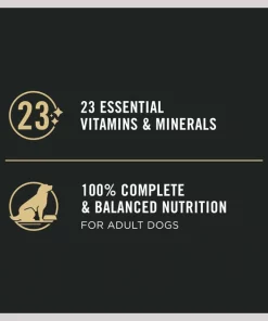 Purina Pro Plan Focus Adult Classic Sensitive Skin & Stomach Salmon & Rice Entree Canned Dog Food 15 Purina Pro Plan Focus Adult Classic Sensitive Skin & Stomach Salmon & Rice Entree Canned Dog Food -Elanco Sales 67784 PT6. SY630 V1657910633