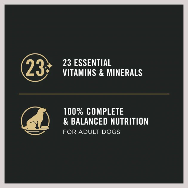 Purina Pro Plan Focus Adult Classic Sensitive Skin & Stomach Salmon & Rice Entree Canned Dog Food 7 Purina Pro Plan Focus Adult Classic Sensitive Skin & Stomach Salmon & Rice Entree Canned Dog Food - Image 7