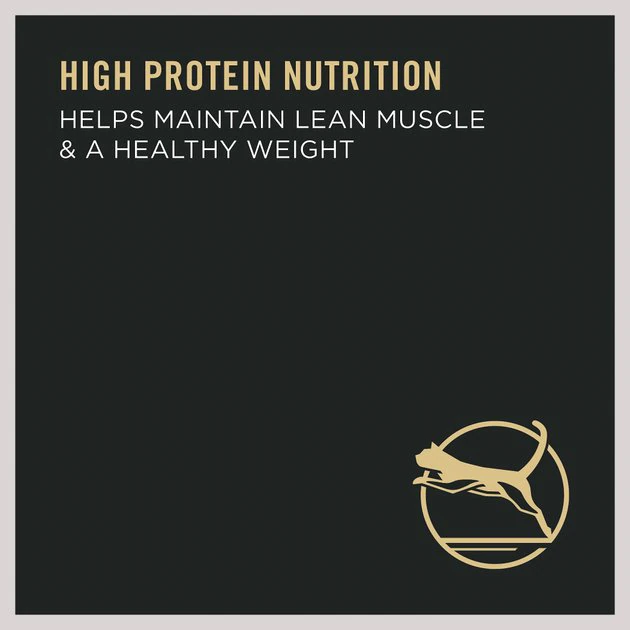 Purina Pro Plan Adult Indoor Hairball Management Salmon & Rice Formula Dry Cat Food 5 Purina Pro Plan Adult Indoor Hairball Management Salmon & Rice Formula Dry Cat Food - Image 5