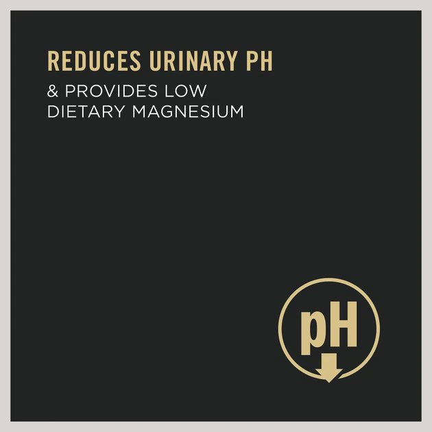 Purina Pro Plan Gravy Chicken Entrée Urinary Health Tract Cat Food 3 Purina Pro Plan Gravy Chicken Entrée Urinary Health Tract Cat Food - Image 3