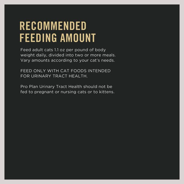 Purina Pro Plan Gravy Chicken Entrée Urinary Health Tract Cat Food 8 Purina Pro Plan Gravy Chicken Entrée Urinary Health Tract Cat Food - Image 8