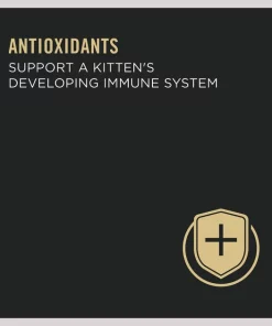 Purina Pro Plan Kitten Flaked Ocean Whitefish & Tuna Entree Canned Cat Food -Elanco Sales 67926 PT3. SY630 V1645818100