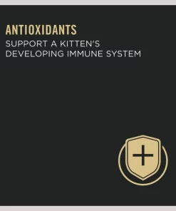 Purina Pro Plan Kitten Classic Salmon & Ocean Fish Entree Canned Cat Food -Elanco Sales 67928 PT3. SY630 V1645818106