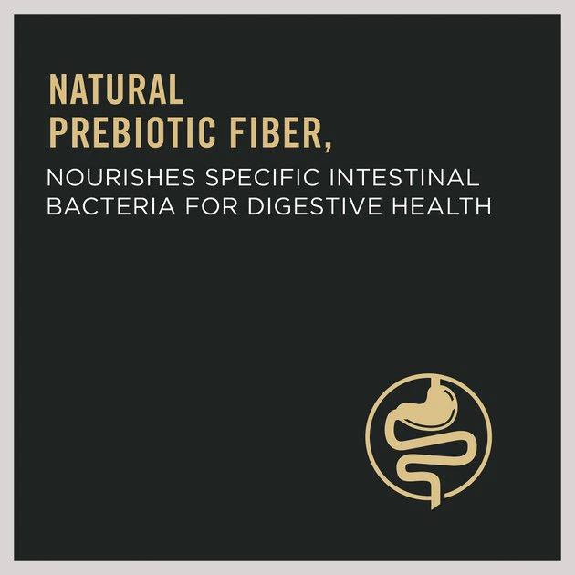 Purina Pro Plan Chicken & Rice Formula with Probiotics High Protein Cat Food 5 Purina Pro Plan Chicken & Rice Formula with Probiotics High Protein Cat Food - Image 5