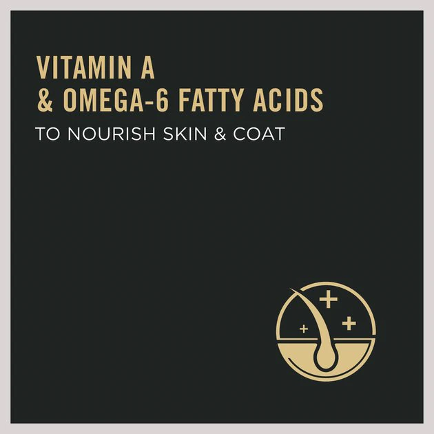 Purina Pro Plan Chicken & Rice Formula with Probiotics High Protein Cat Food 7 Purina Pro Plan Chicken & Rice Formula with Probiotics High Protein Cat Food - Image 7