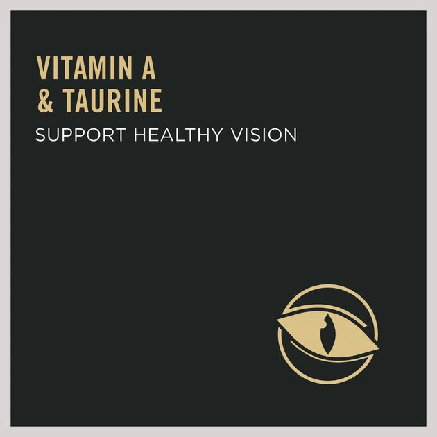 Purina Pro Plan Chicken & Rice Formula with Probiotics High Protein Cat Food 8 Purina Pro Plan Chicken & Rice Formula with Probiotics High Protein Cat Food - Image 8