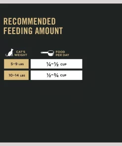 Purina Pro Plan Chicken & Rice Formula with Probiotics High Protein Cat Food 17 Purina Pro Plan Chicken & Rice Formula with Probiotics High Protein Cat Food -Elanco Sales 67930 PT8. SY630 V1649196390