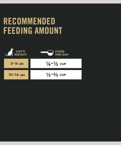 Purina Pro Plan Adult Salmon & Rice Formula Dry Cat Food -Elanco Sales 67934 PT8. SY630 V1649203898