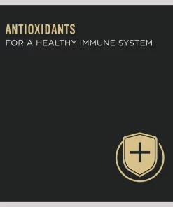 Purina Pro Plan Adult Turkey & Pasta Entree in Gravy Canned Cat Food -Elanco Sales 67966 PT2. SY630 V1634251600