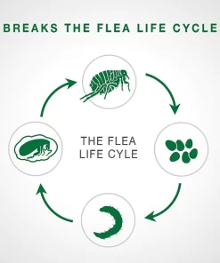 Advantage II Flea Spot Treatment for Cats, over 9 lbs -Elanco Sales 73926 PT4. SY630 V1524856913