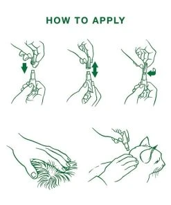 Advantage II Flea Spot Treatment for Cats, over 9 lbs -Elanco Sales 73926 PT7. SY630 V1524856914