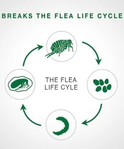 Advantage II Flea Spot Treatment for Dogs, over 55 lbs -Elanco Sales 73928 PT4. SY630 V1524856931