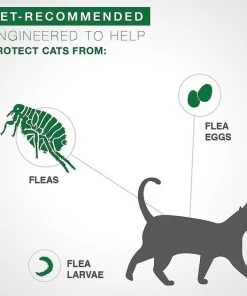 Advantage II Flea Spot Treatment for Cats, 5-9 lbs, & Ferrets -Elanco Sales 73937 PT3. SY630 V1612448778