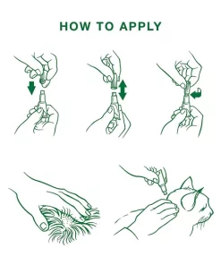 Advantage II Flea Spot Treatment for Cats, 5-9 lbs, & Ferrets -Elanco Sales 73937 PT8. SY630 V1524853615