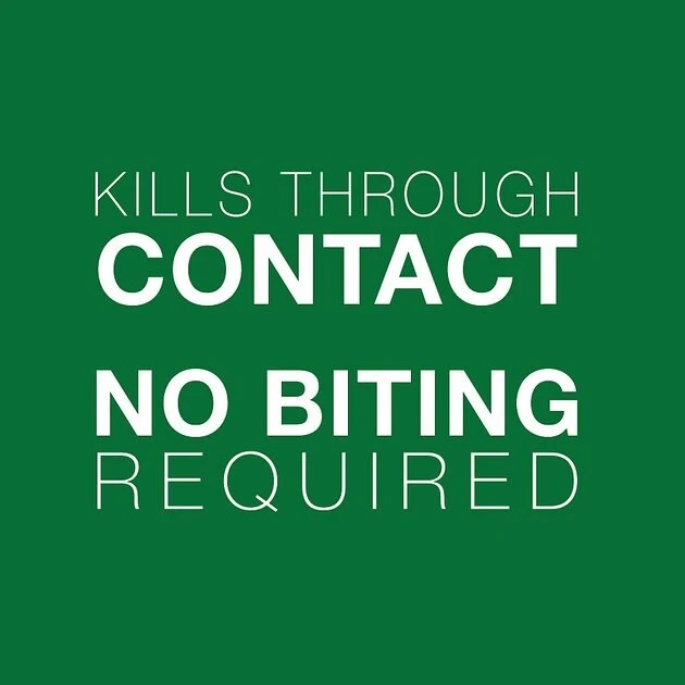 Advantage II Flea Spot Treatment for Dogs, 11-20 lbs 6 Advantage II Flea Spot Treatment for Dogs, 11-20 lbs - Image 6