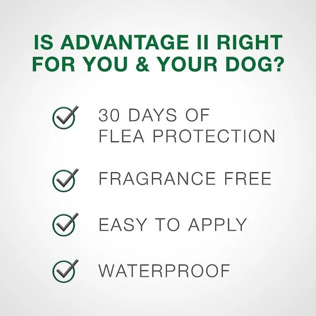 Advantage II Flea Spot Treatment for Dogs, 11-20 lbs 7 Advantage II Flea Spot Treatment for Dogs, 11-20 lbs - Image 7