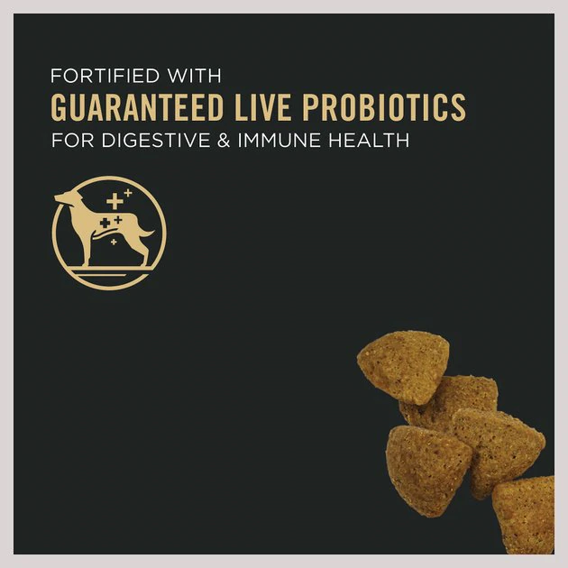 Purina Pro Plan Bright Mind Adult 7+ Chicken & Rice Formula Dry Dog Food 3 Purina Pro Plan Bright Mind Adult 7+ Chicken & Rice Formula Dry Dog Food - Image 3