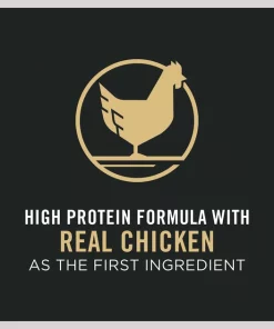 Purina Pro Plan Bright Mind Adult 7+ Chicken & Rice Formula Dry Dog Food 16 Purina Pro Plan Bright Mind Adult 7+ Chicken & Rice Formula Dry Dog Food -Elanco Sales 86193 PT7. SY630 V1642465884