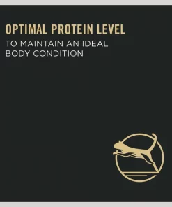 Purina Pro Plan Focus Healthy Metabolism Formula Chicken Entrée in Gravy Adult Canned Cat Food -Elanco Sales 86227 PT5. SY630 V1636673801