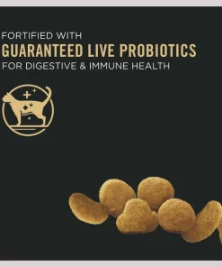 Purina Pro Plan Kitten Chicken & Rice Formula Dry Cat Food 11 Purina Pro Plan Kitten Chicken & Rice Formula Dry Cat Food -Elanco Sales 86234 PT2. SY630 V1649200666